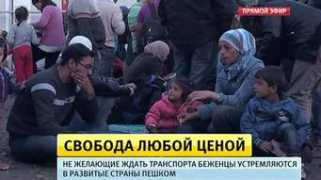 fair.ru Bezen