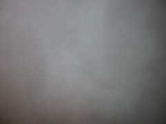 uglypersonsface.com Bfn