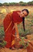 murugan.org Bhaktar