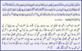 123muslim.com Bhalai