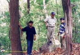 junglelure.com Bhartari