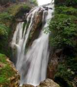 Bhatta