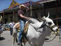 midwesternerinmexico.com Bhrama