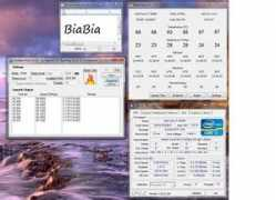 overclock.net Biabia
