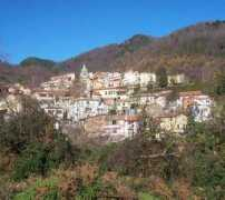 Biassa