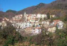 Biassa