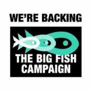 seriouslyfish.com Biaza