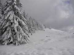 ski.rando.scapa.free.fr Biazot