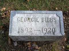 Bibbings