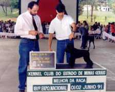 sailerdf.com.br Bibianne