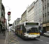 showbus.com Bibus