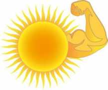 Bicep