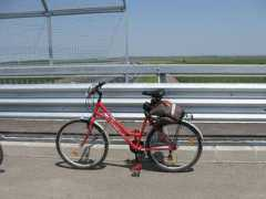 Bicla