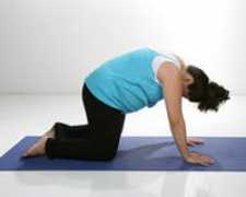yogatg.com Bidala