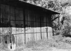 lucynajodlowska.com Bieda