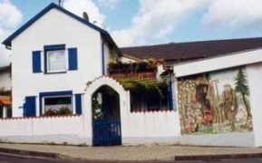 hohn-kolvenbach.de Bienentreu