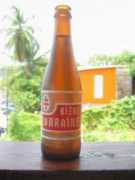 accidentalcruiser.com Bierre