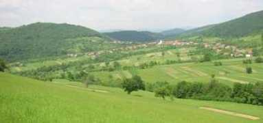 mepopa.com Bigar