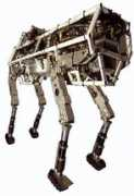 Bigdog