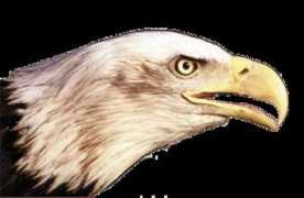 galilean-baptist.org Bigeagle