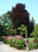 dimoreedintorni.it Biglietti