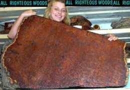 righteouswoods.com Bigmamma