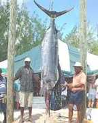 turksandcaicos.tc Bigmar