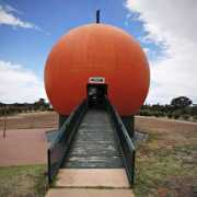 dfunkd.com Bigorange