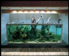 oneinchpunch.net Bigtank