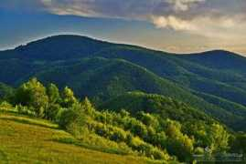 Bihor