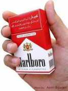 access2healthinfo.wordpress.com Bijarani