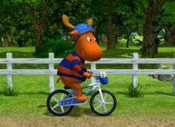 Bikerider