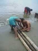 bosconet.aust.com Bilibili