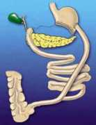 adelaidebariatrics.com.au Bilio