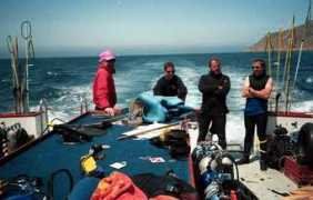 diver.net Billand