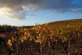 terroirs-france.com Billaud