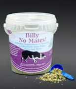 dogfriendlybritain.co.uk Billynomates