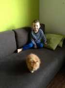 teddyveseli.websnadno.cz Bilouche