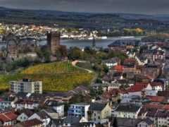 panoramio.com Bingen