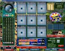 Bingo