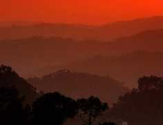 travel.paintedstork.com Binsar
