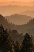travel.paintedstork.com Binsar