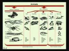 chemistry2011.org Biochemical