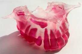 Biodental