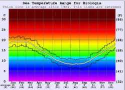 surf-forecast.com Biologia