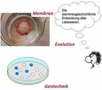 lehrerfortbildung-bw.de Biologie