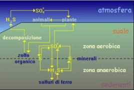 venus.unive.it Biolos