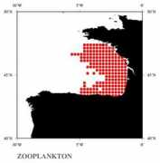 st.nmfs.noaa.gov Bioman