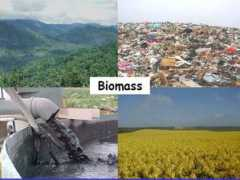 knightswrite.wikidot.com Biomass