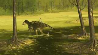 johnconway.co Biota